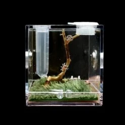 Spider Habitat Terrarium, Terrarium For Small Insect Reptiles L