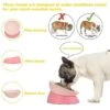French Bulldog Food Bowl, Slanted Tilted Food Water Bowl, Pet Feeder For Frenchie, Shih Tzu, Flat Faced Dogs, Cat (better)